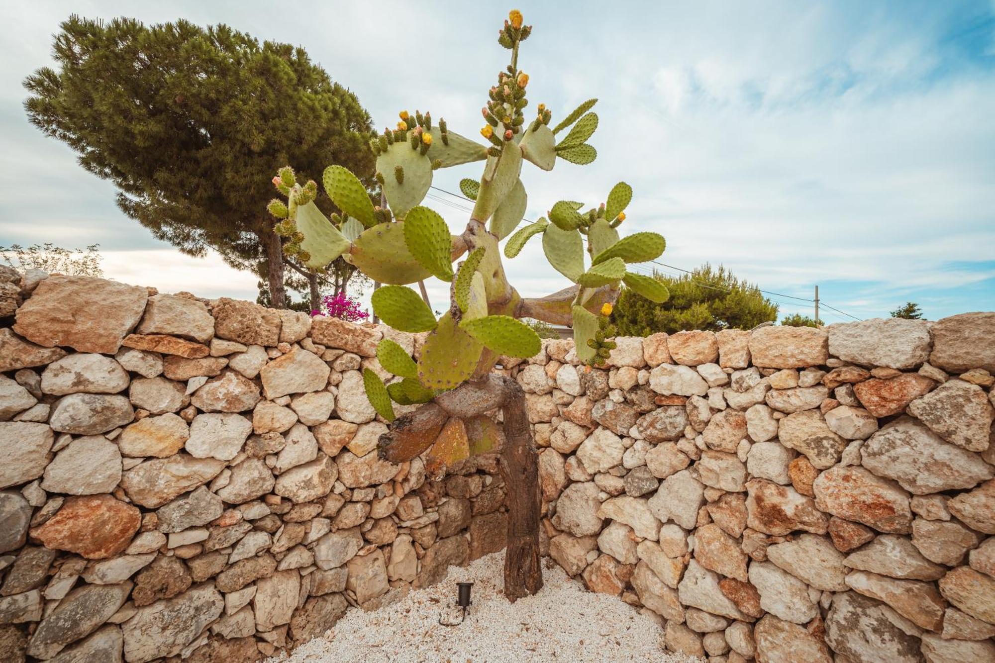 Villa Trullomare & Pool - Housea Polignano a Mare Esterno foto